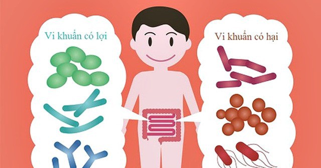 Chuyên gia dinh dưỡng dạy bạn cách dễ dàng nuôi dưỡng và bổ sung lợi khuẩn