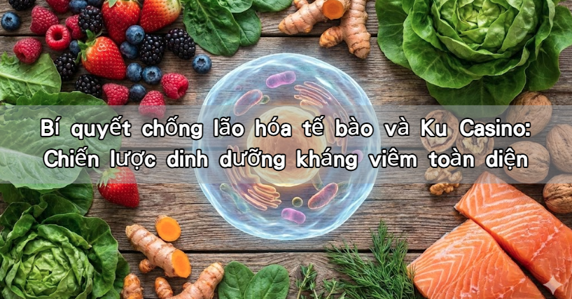 Bí quyết chống lão hóa tế bào và Ku Casino: Chiến lược dinh dưỡng kháng viêm toàn diện